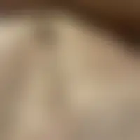 Puceau17