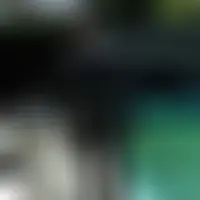 Organyx